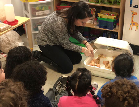 Chicks at East River CDC